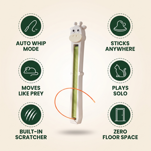 Moo Lasso — Wall-Mounted Interactive Cat Toy