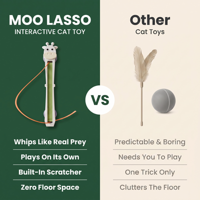 Moo Lasso — Wall-Mounted Interactive Cat Toy