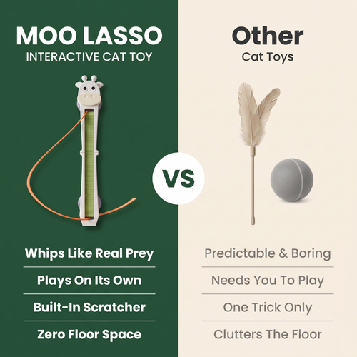 Moo Lasso — Wall-Mounted Interactive Cat Toy