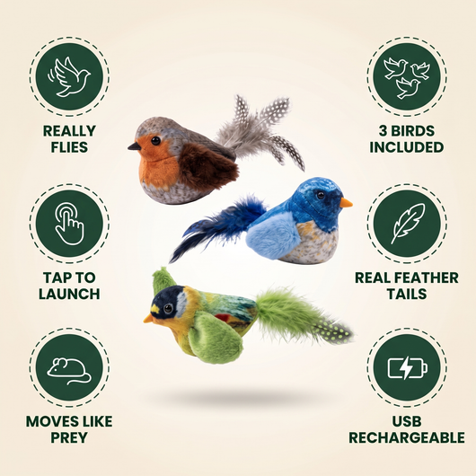 Wingmate - Interactive Flying Bird Cat Toy