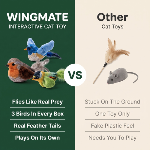 Wingmate - Interactive Flying Bird Cat Toy