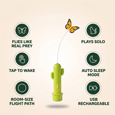 Flutter Cactus — Automatic Cat Teaser