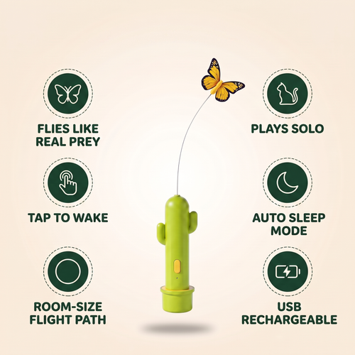Flutter Cactus — Automatic Cat Teaser