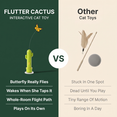 Flutter Cactus — Automatic Cat Teaser