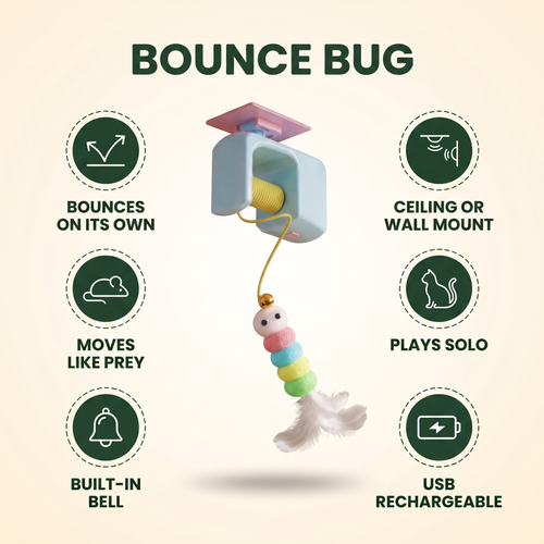 Bounce Bug — Automatic Hanging Cat Toy