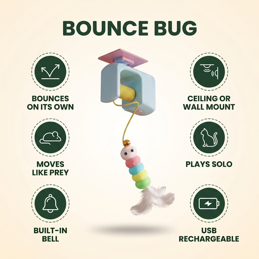 Bounce Bug — Automatic Hanging Cat Toy