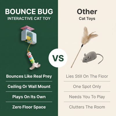 Bounce Bug — Automatic Hanging Cat Toy