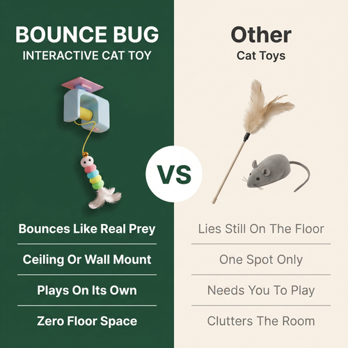 Bounce Bug — Automatic Hanging Cat Toy